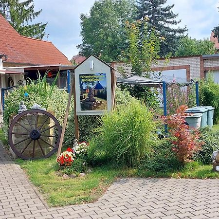 Ferienwohnung Gaensebluemchen Wartenburg Екстериор снимка